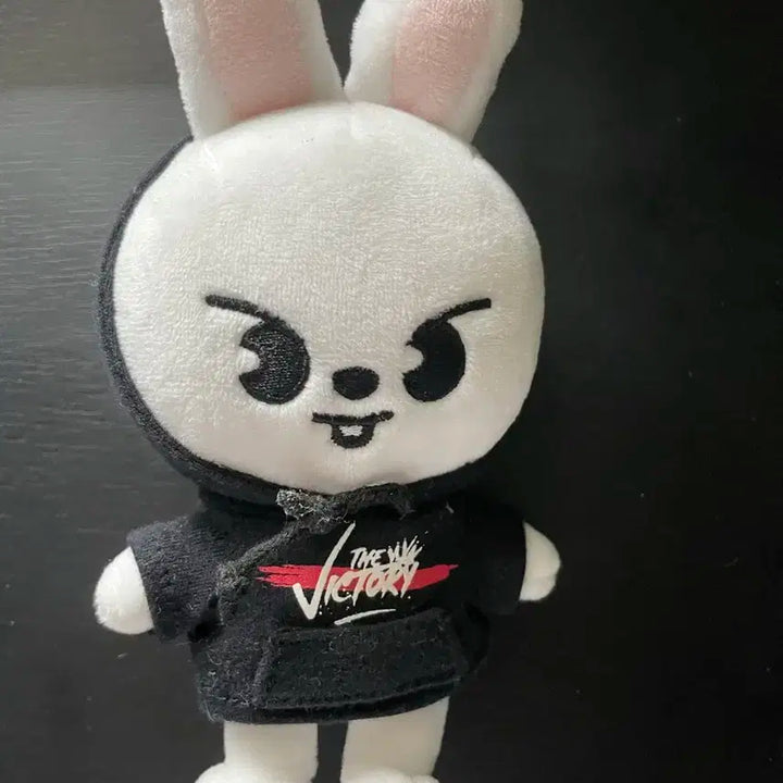 스트레이키즈 리노 미니리빗 판매