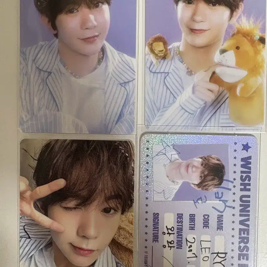 위시 시즌그리팅 포카 료 일괄 양도