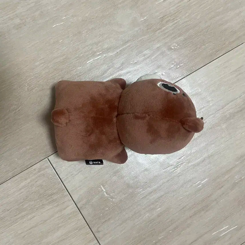 데니멀즈 2024 더 프레젠트 굿즈 손난로 인형 방