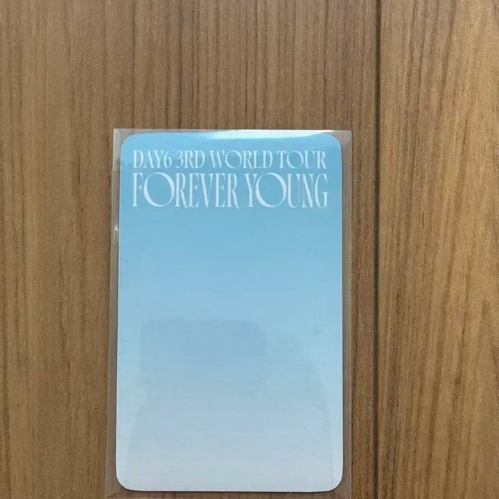 (미개봉) day6 데니멀즈 필끼 2020