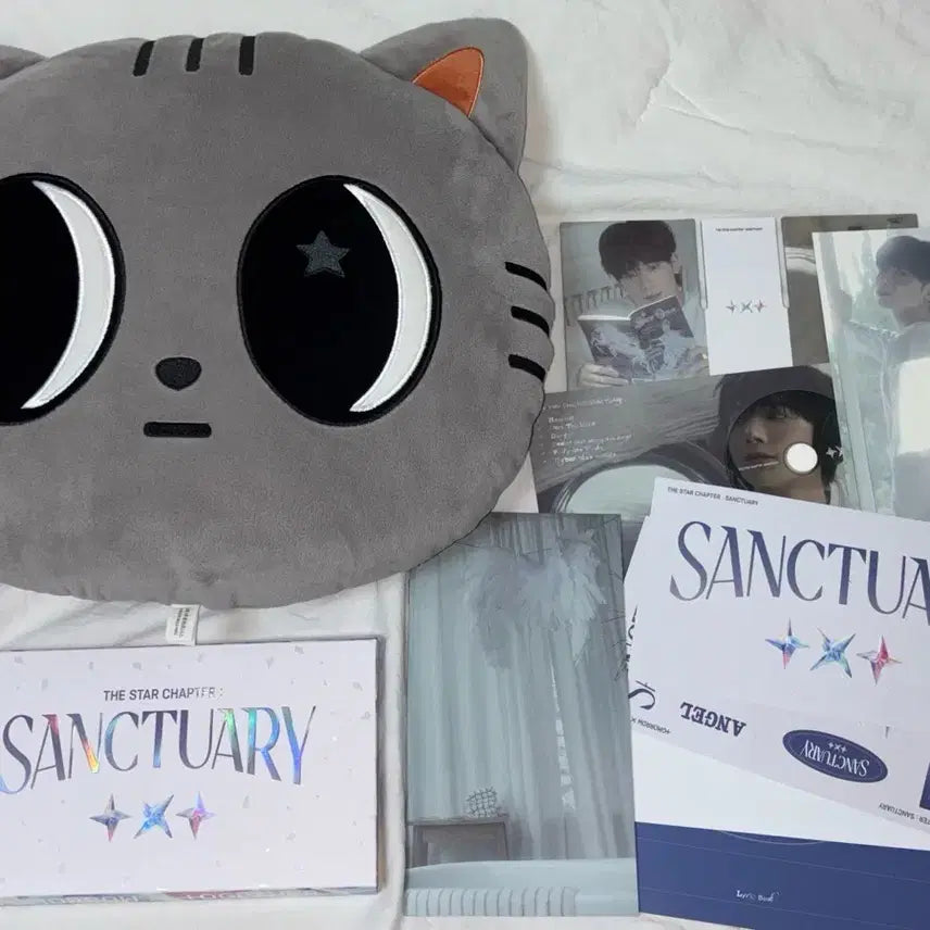 TXT 투바투 태현 뿔바투 다고냥 페이스 쿠션 + 생츄어리 앨범 앤젤