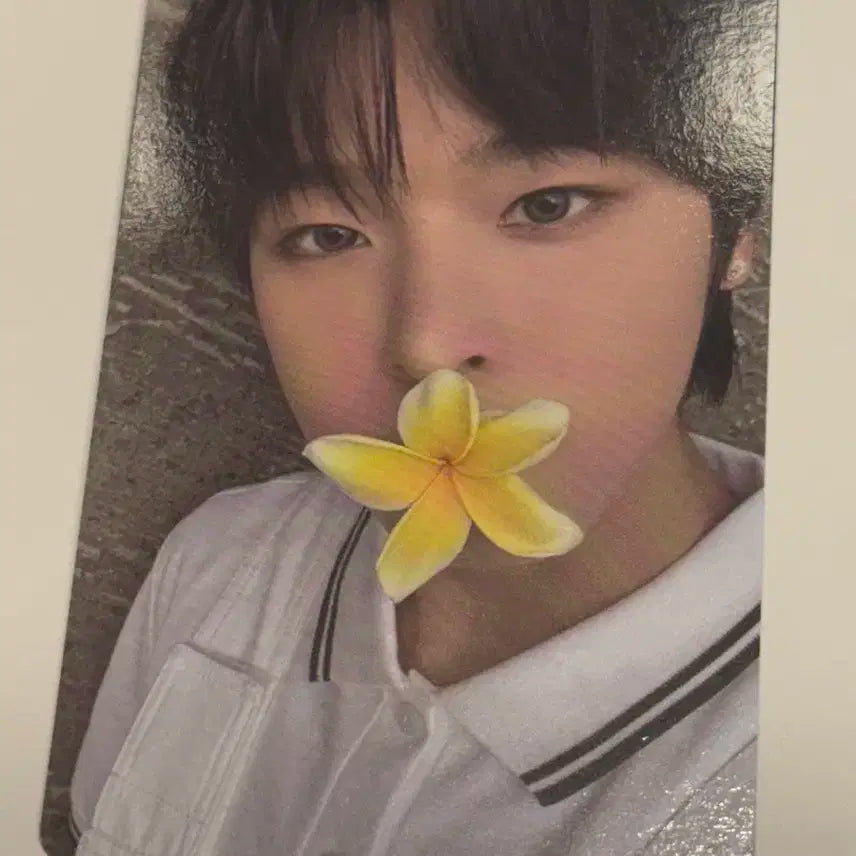 서프 리쿠 포카