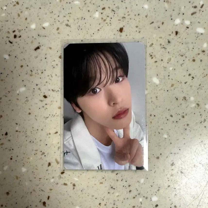 엔시티 위시 리쿠 송버드 이즈위 중국 영통 특전 포카 양도