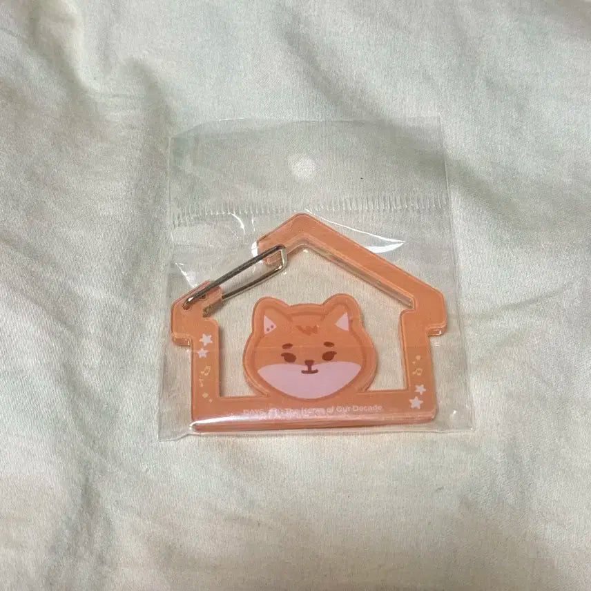 데이식스 zip 팝업 케 카라비너