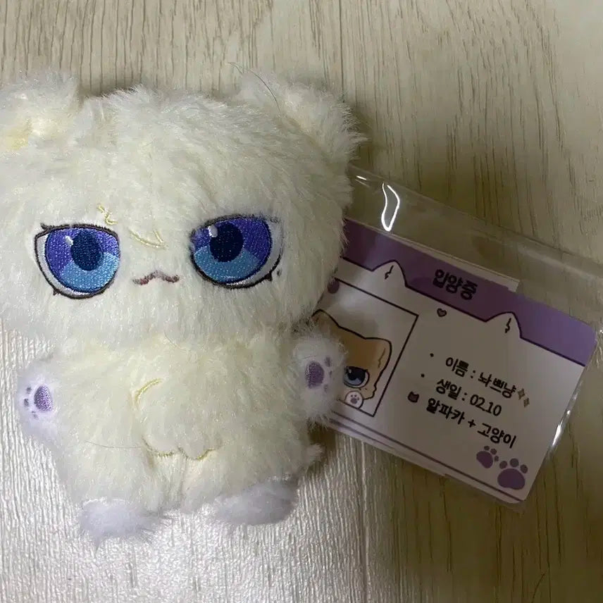 플레이브 플쁘냥 노아