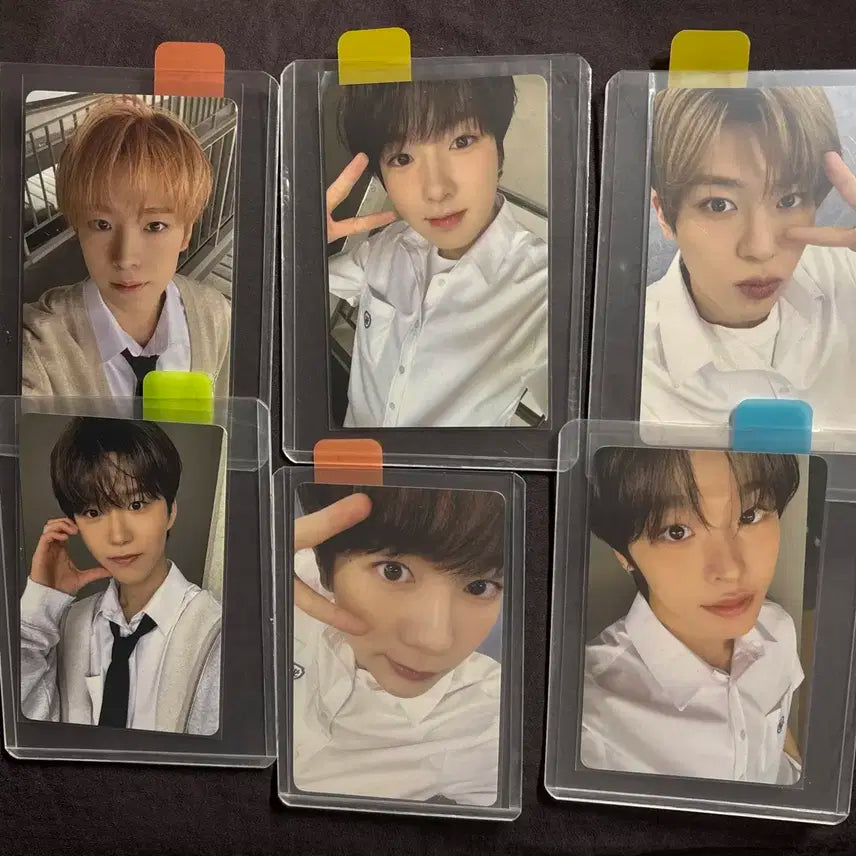 스쿨오브위시 입장포카 일괄