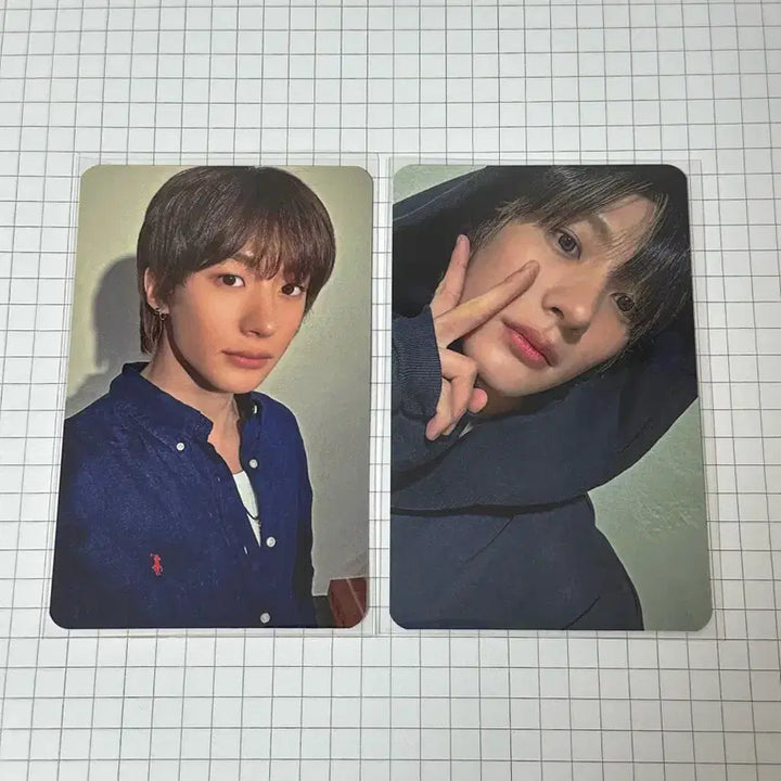 라이즈 odyssey 앤톤 특전 포토카드