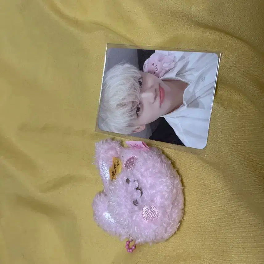 드림쇼 엠디 미니 핑끼+큰 핑끼 포토카드