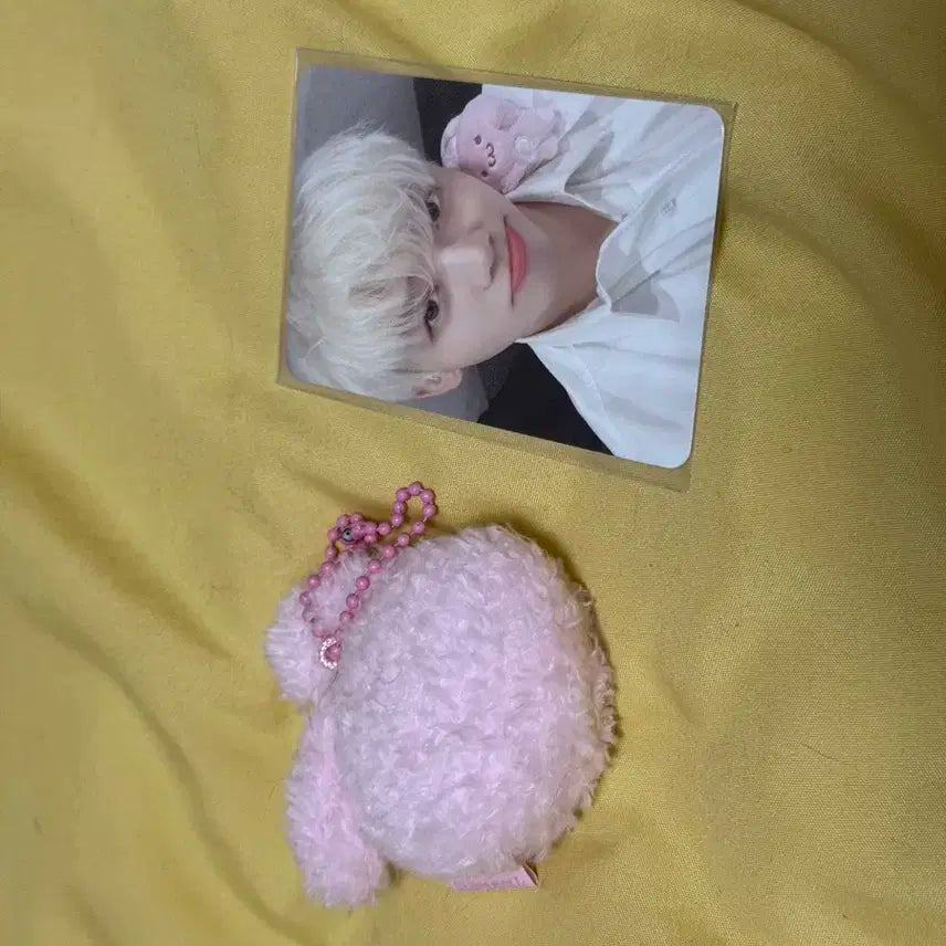 드림쇼 엠디 미니 핑끼+큰 핑끼 포토카드