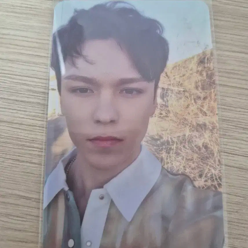 헹가래 버논 포토카드