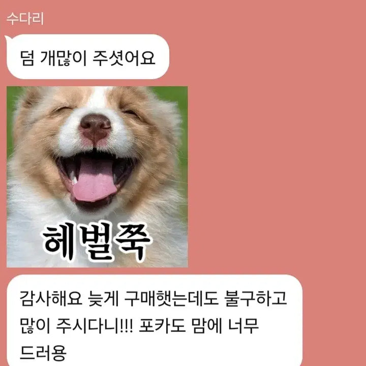 (급처)세븐틴 공굿&비공굿 랜박