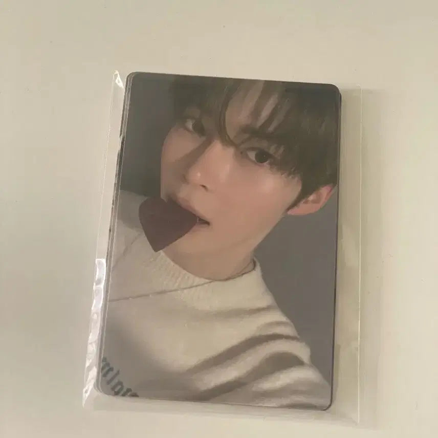 제베원 쿠키포카