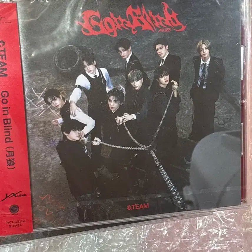 앤팀 고인블라인드 스탠다드반 미개봉 앨범 판매합니다 &team