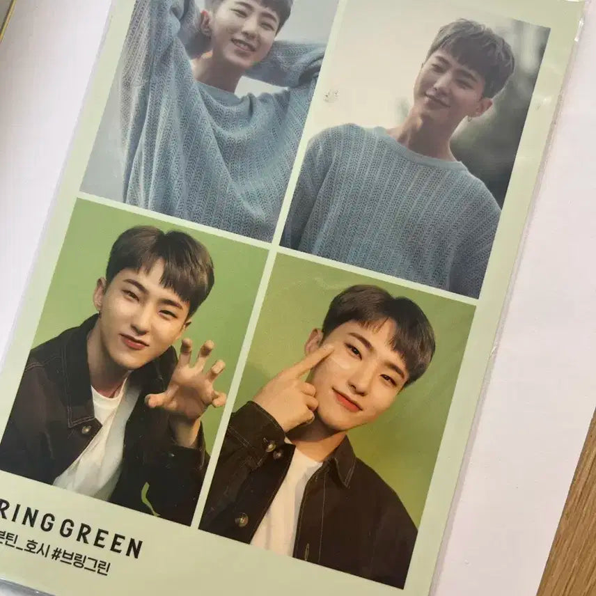 호시 브링그린 특전 양도