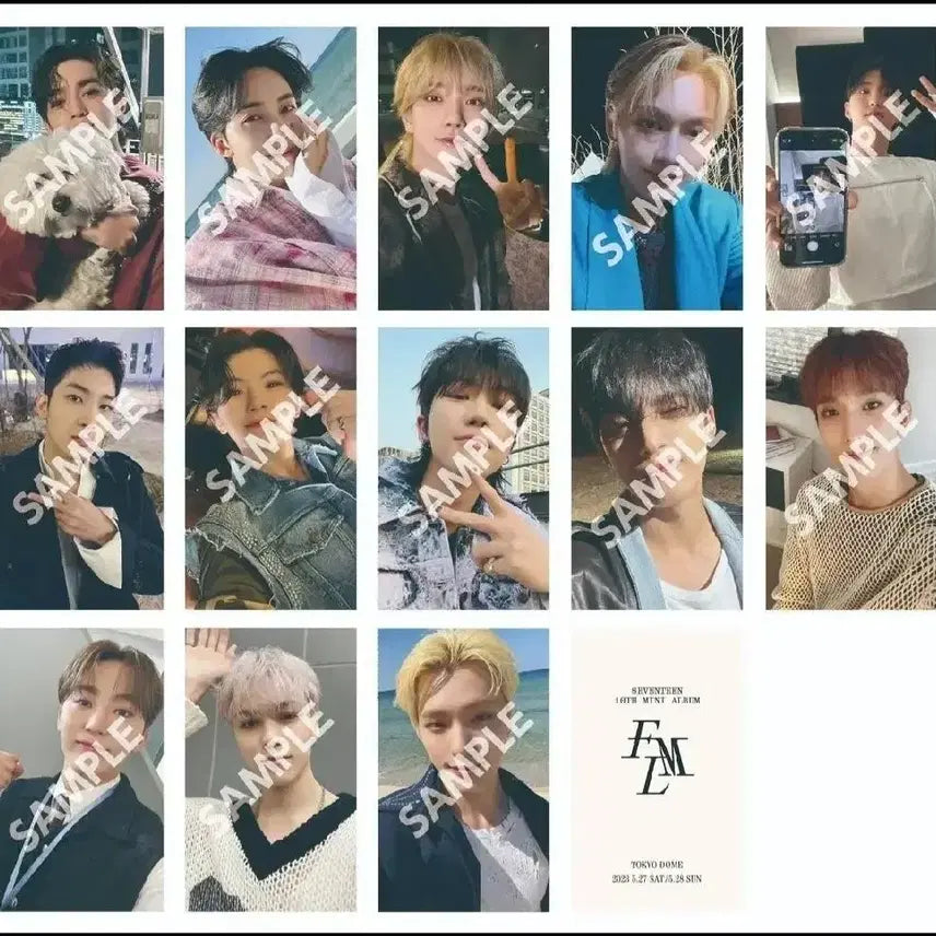 세븐틴 love콘서트 도쿄 일본 회장한정 유니버셜