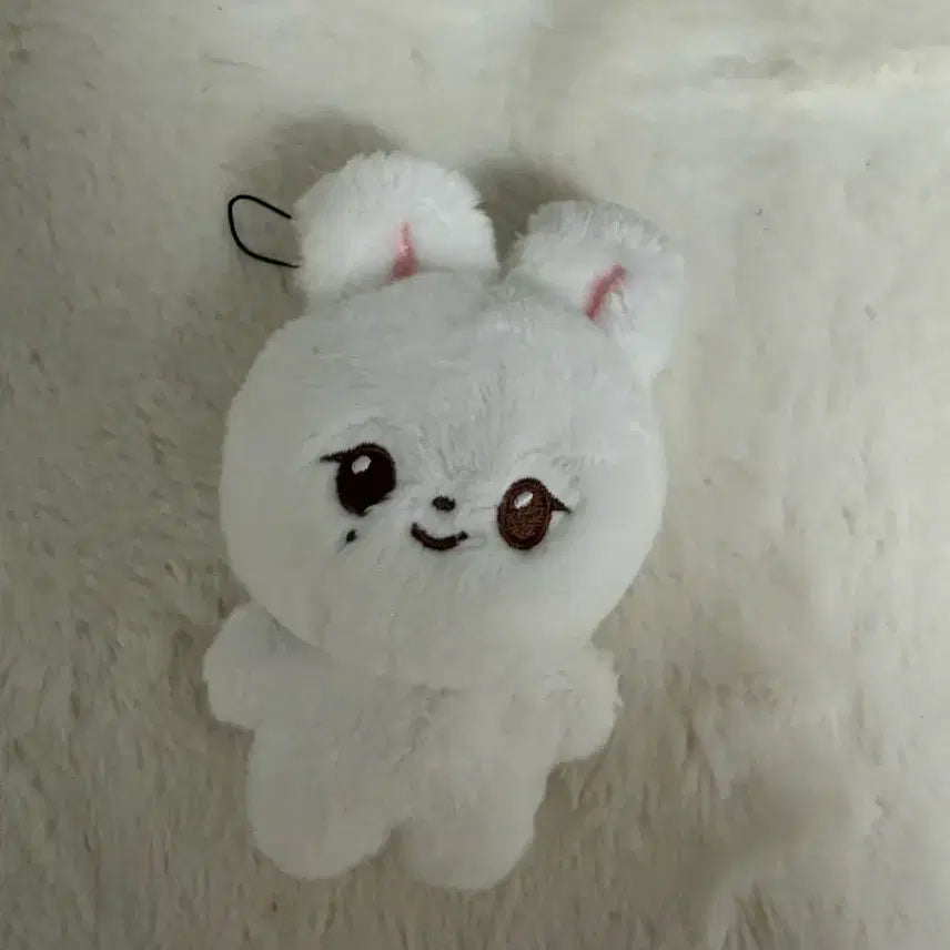 쫑쫑코미