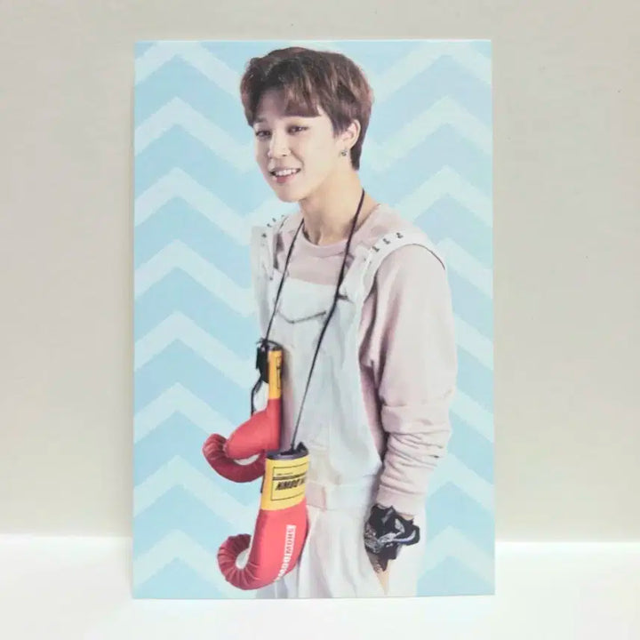 방탄 지민 2015 비긴즈 미니포카 포토카드