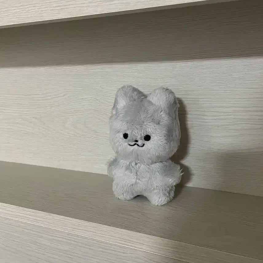 더보이즈 주연 인형 주냥달곰 주냥이 팝니다