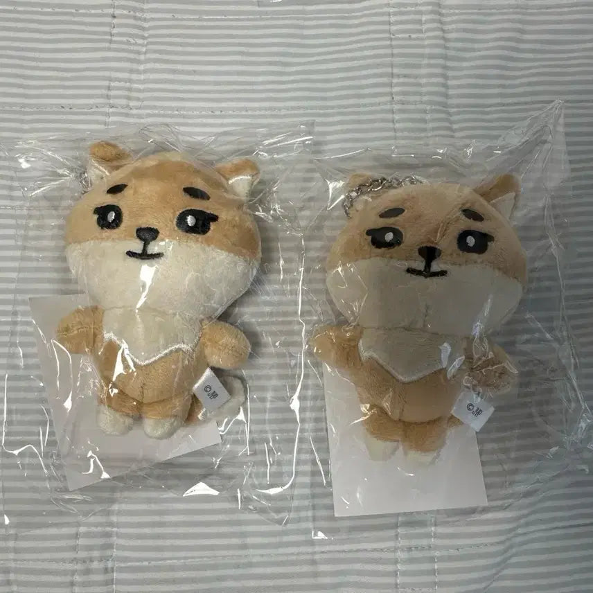 데이식스 일본 엠디 데니멀즈 백참 케 미개봉 양도