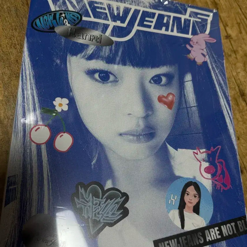 뉴진스 앨범 블루북 하니