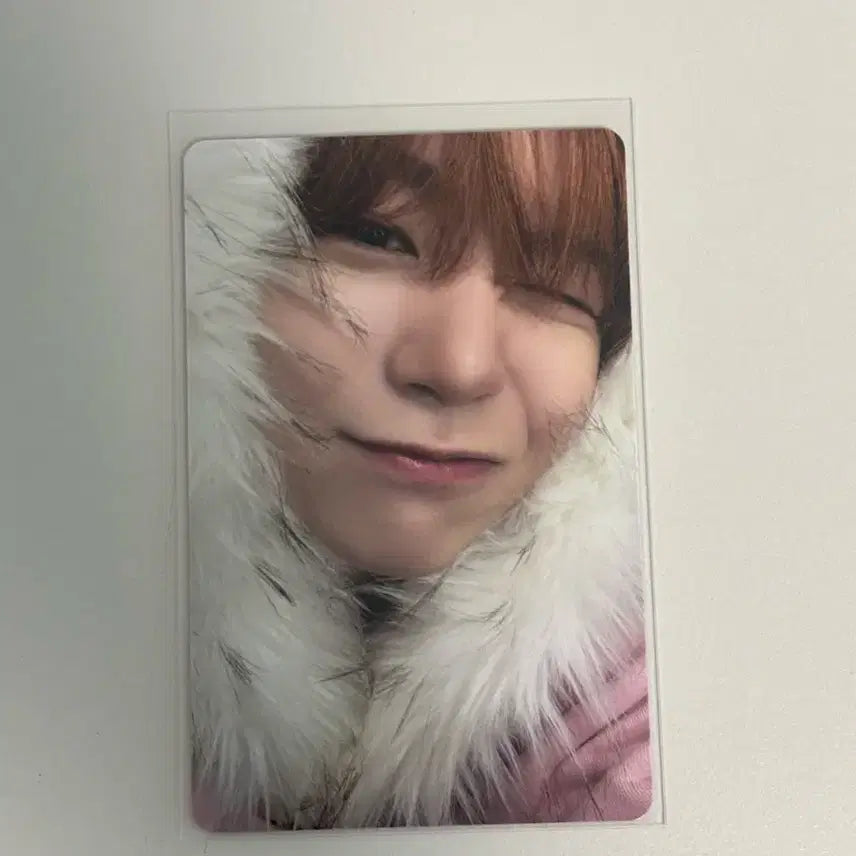 위시 컬러 포토북 료 미라클 초회한정반 포카