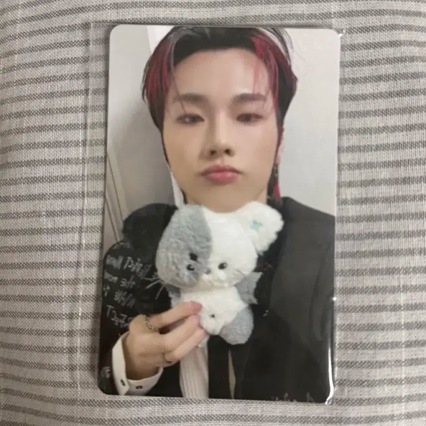 엑디즈 뷰마콘 엠디 3만원 특전 정수 포카 양도