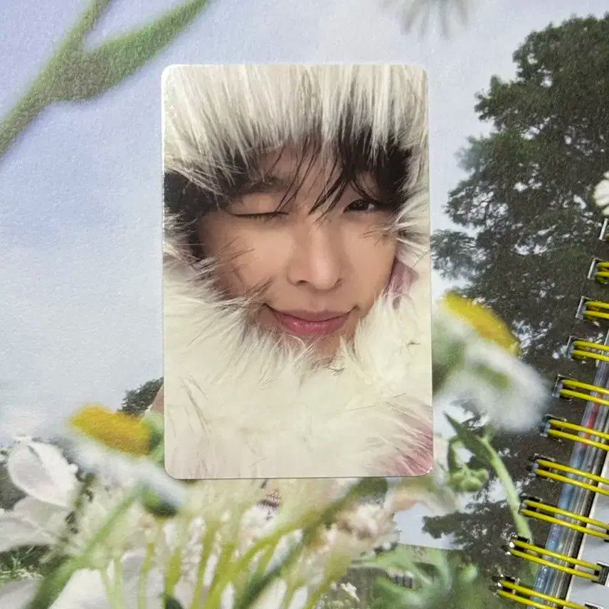 미라클 리쿠 color 초회 한정반 포카