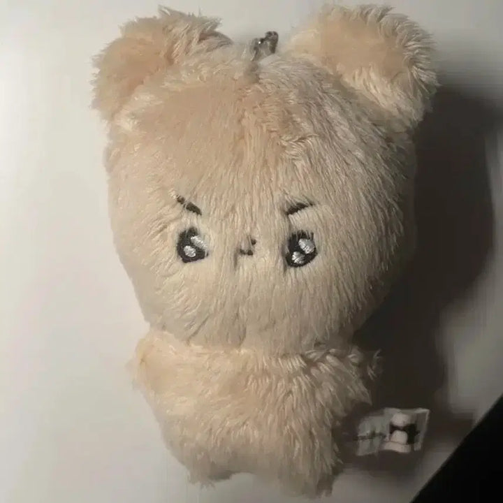 횬도리 더보이즈 현재 인형 현재인형