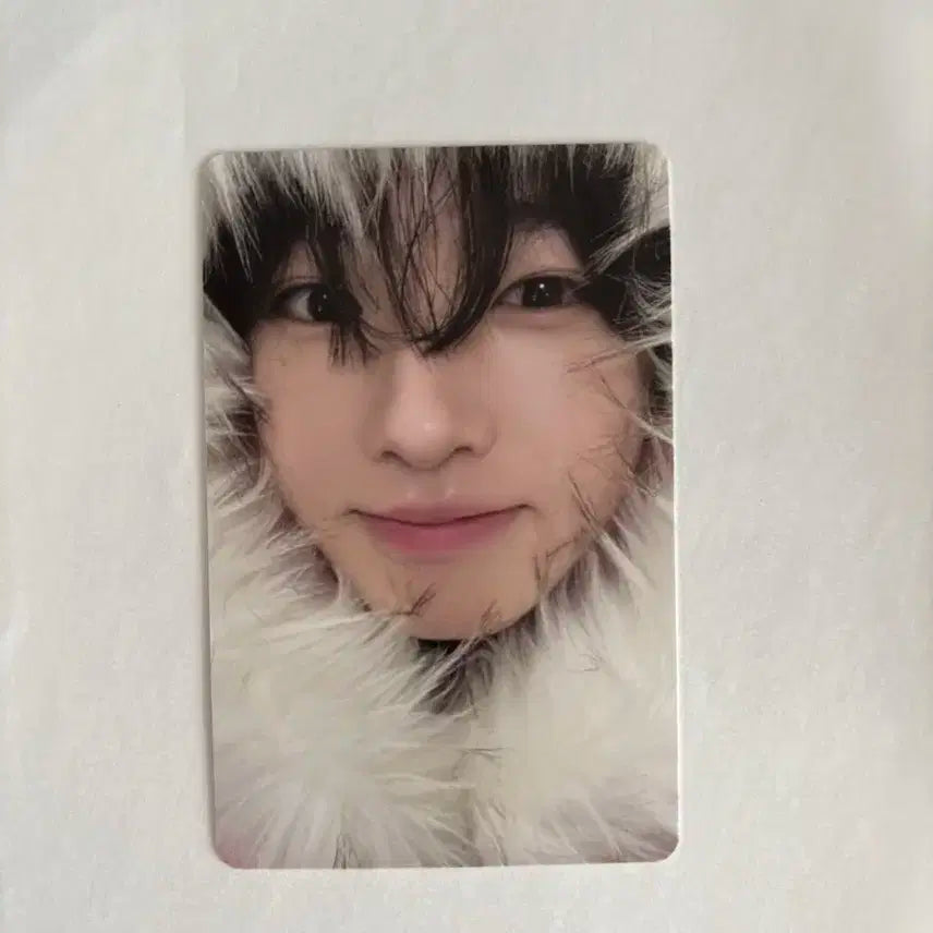 엔시티 위시 사쿠야 컬러 포토북 초회한정 포카