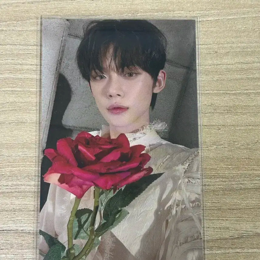 연준 데자부 공방포카 투바투 투모로우바이투게더