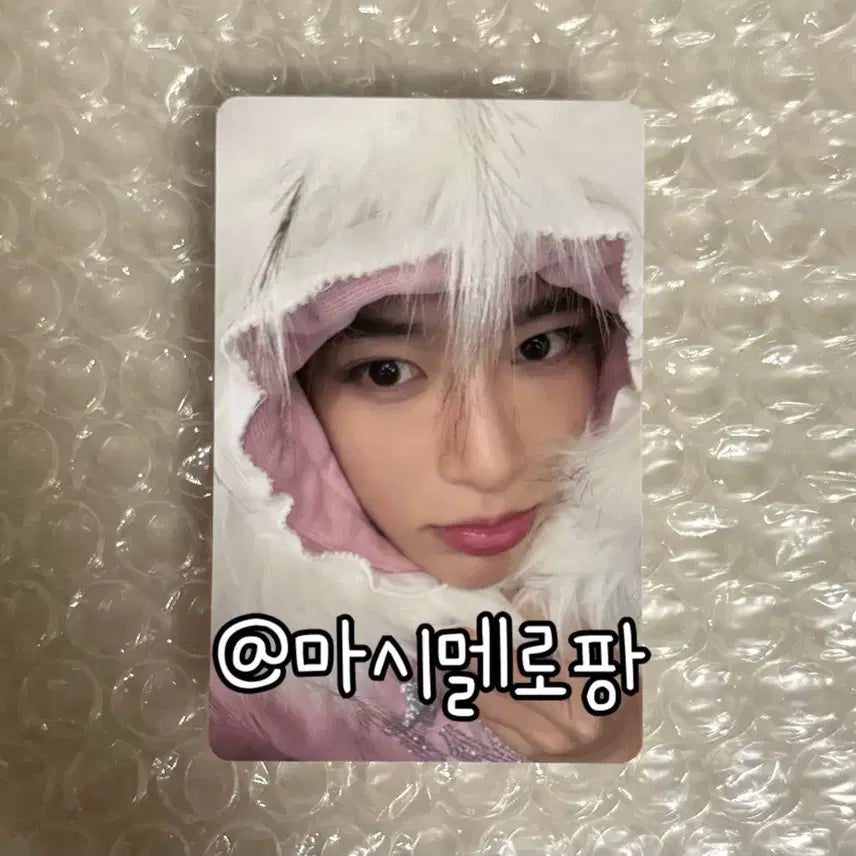 엔시티위시 컬러 포토북 미라클 시온 포카 포토카드 서프 초회한정반