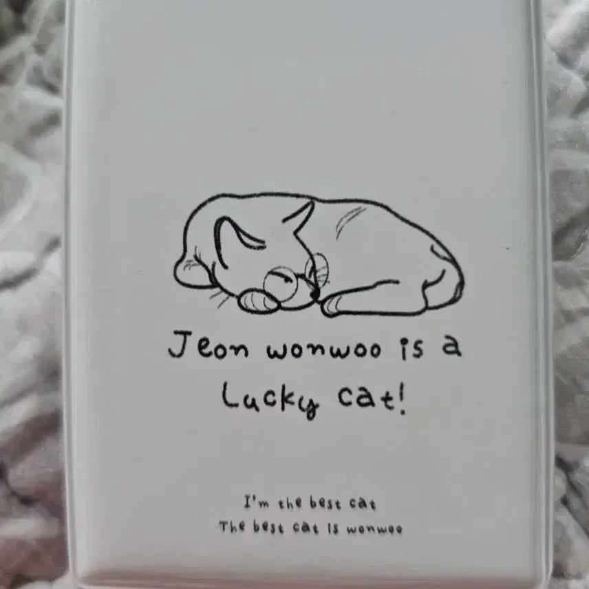 세븐틴 원우 전원우 콜레트북 콜북 전원우 복덩어리 전복