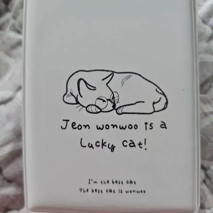 세븐틴 원우 전원우 콜레트북 콜북 전원우 복덩어리 전복