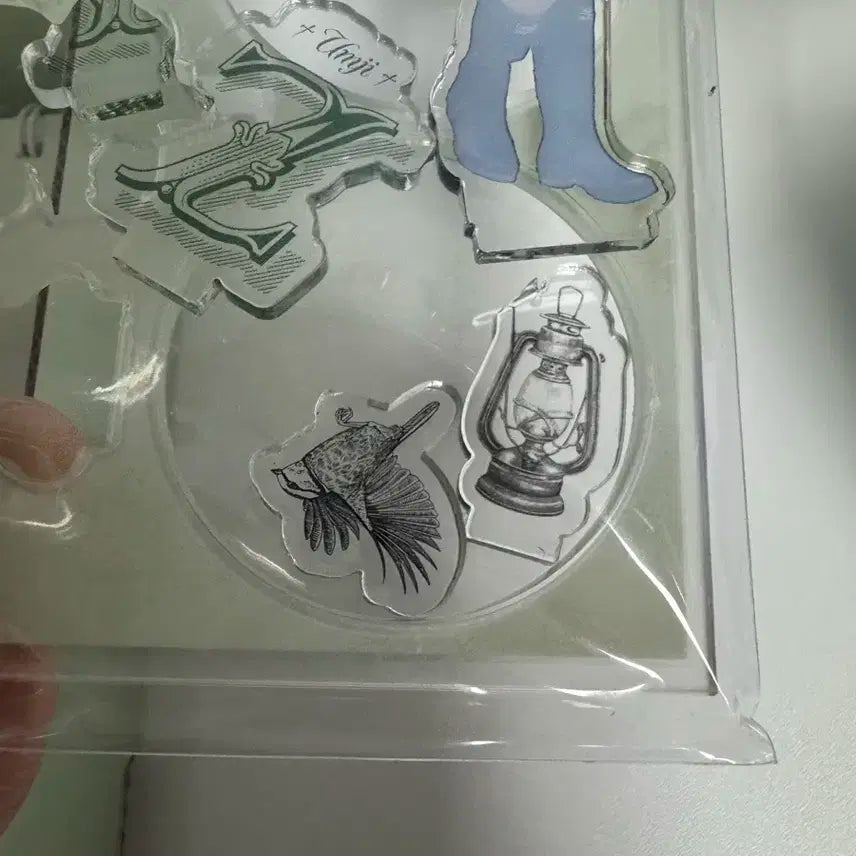 비비지 2023 시즌그리팅