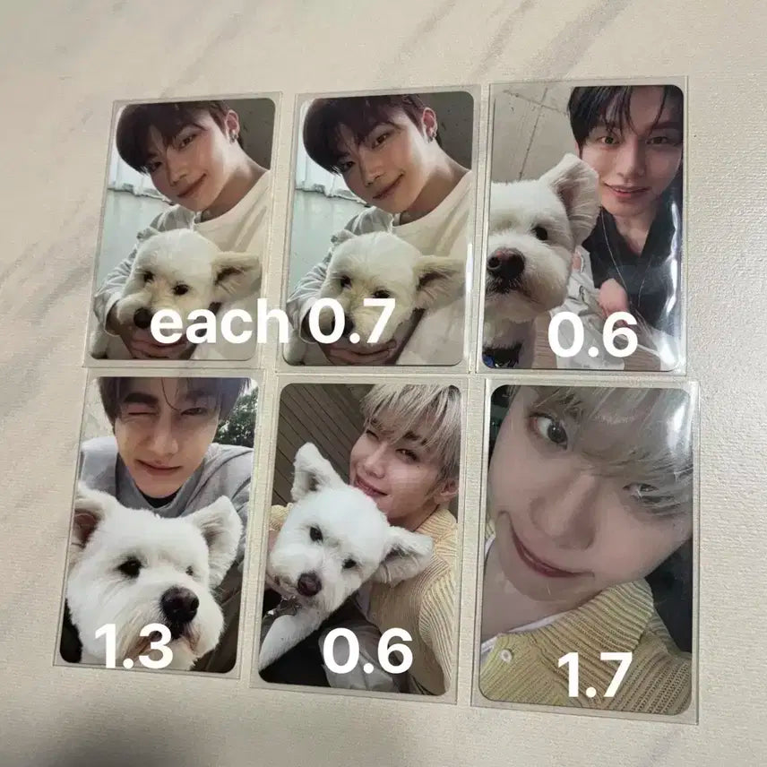 오늘만 이가격!!)제베원 정규1집 NEVER SAY NEVER 레오 포카