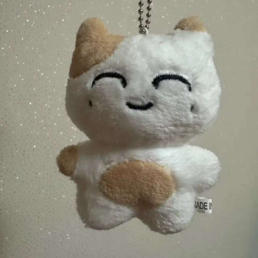 Nct 엔시티 재현 인형 솜땀이