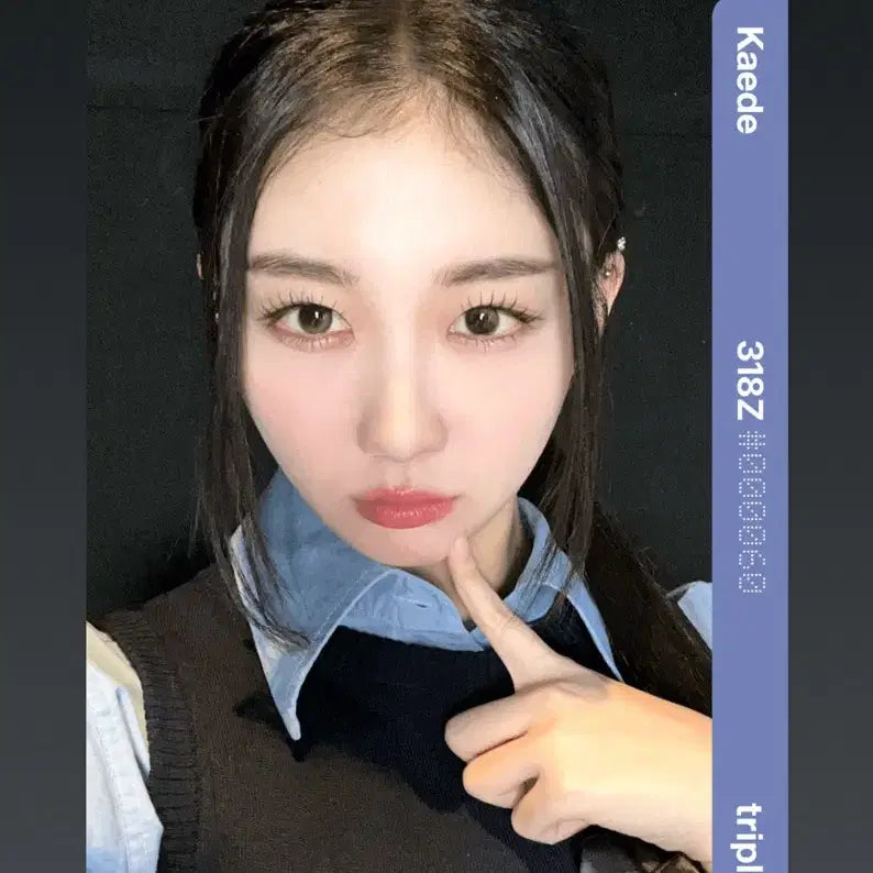 트리플에스 카에데 C318 오브젝트 (2)