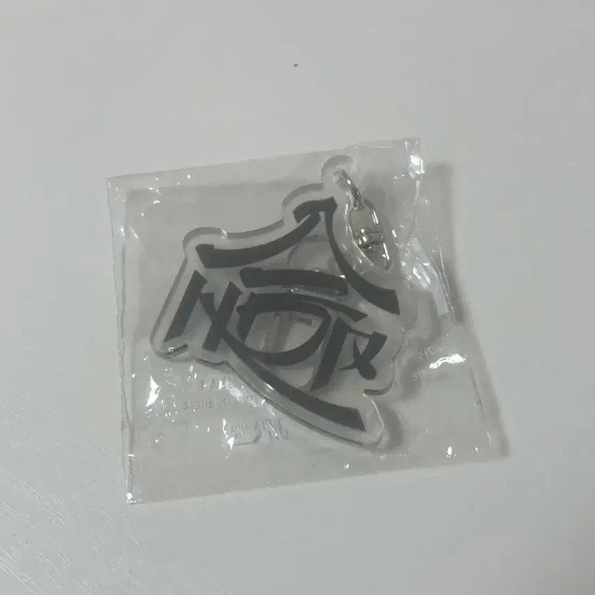 스트레이키즈 합(HOP) 팝업 특전 아크릴 키링 스키즈 스키주