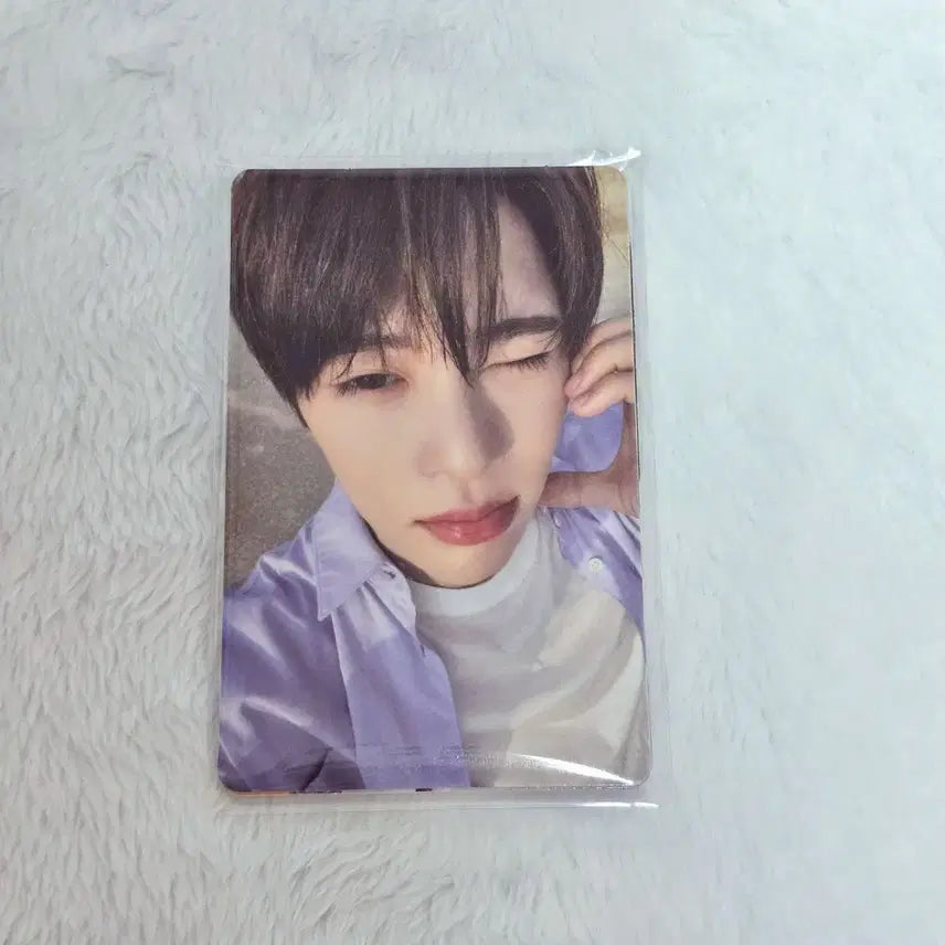 미개봉/세트) 엔시티위시 컬러 팔레트 쇼케이스 당첨자 한정 포카