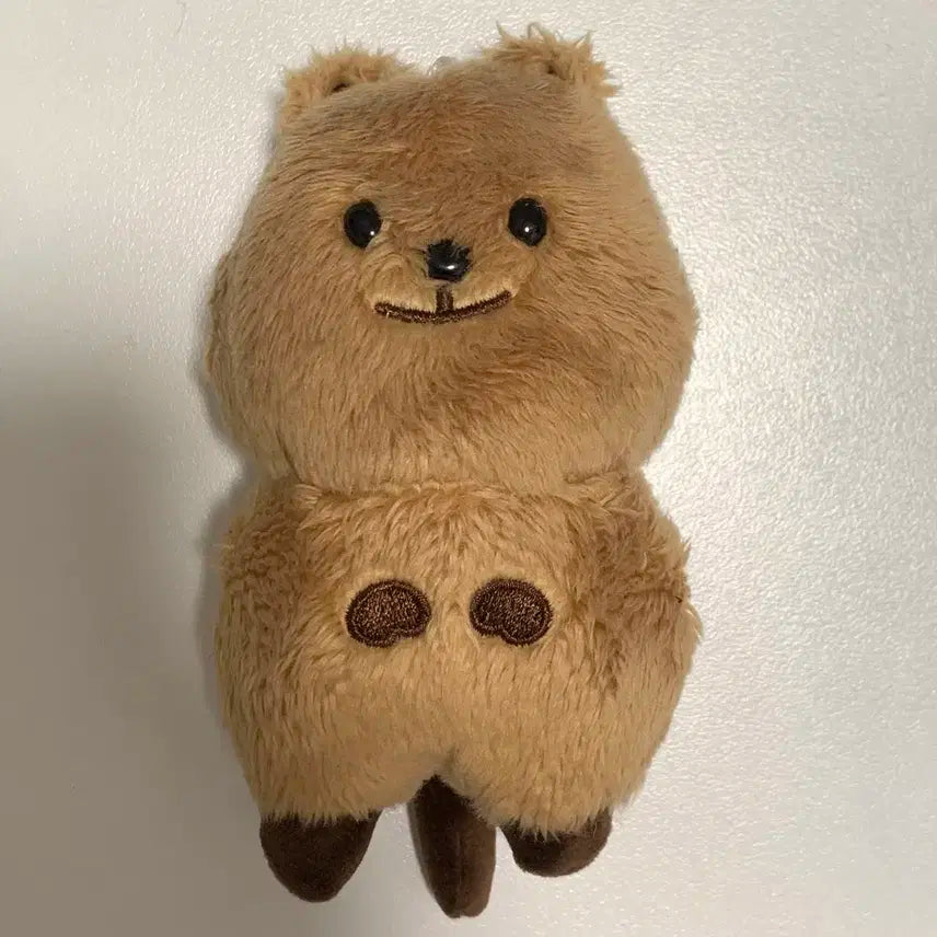 엔시티 127 정우 10cm 인형 쩡카 쩡가사리