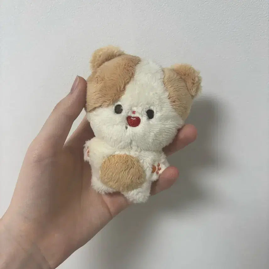 nct 지성 인형