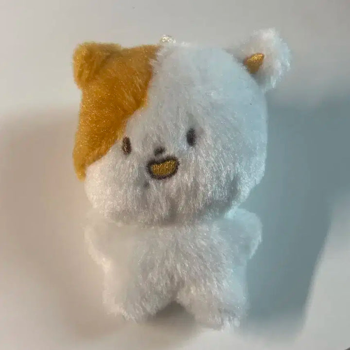 엔시티 지성 인형 포켓찌