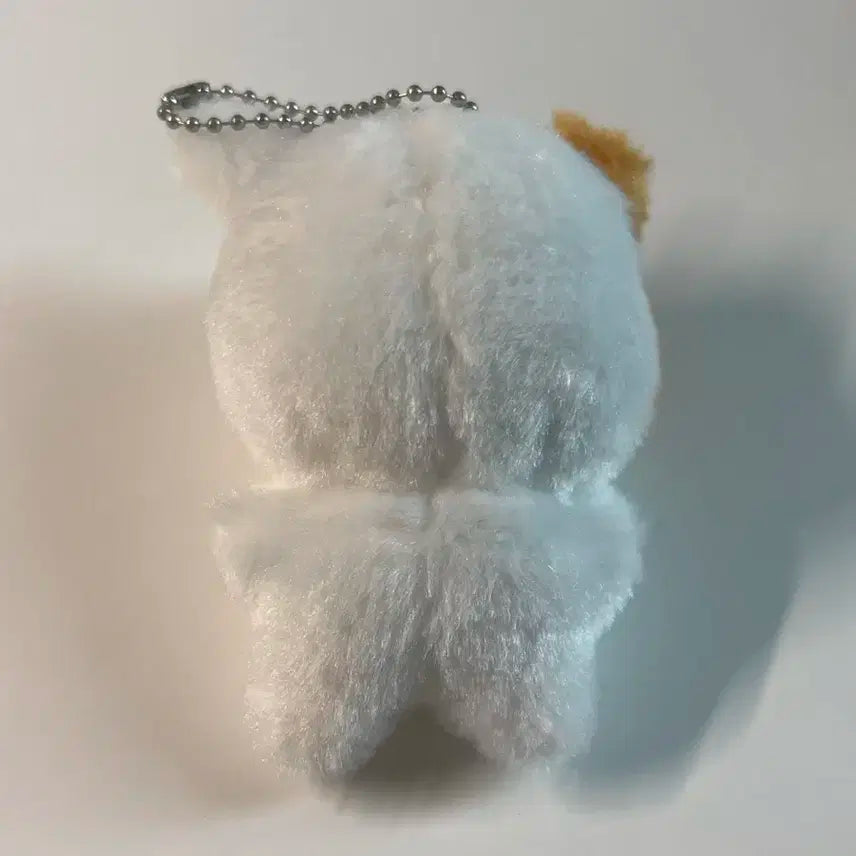 엔시티 지성 인형 포켓찌