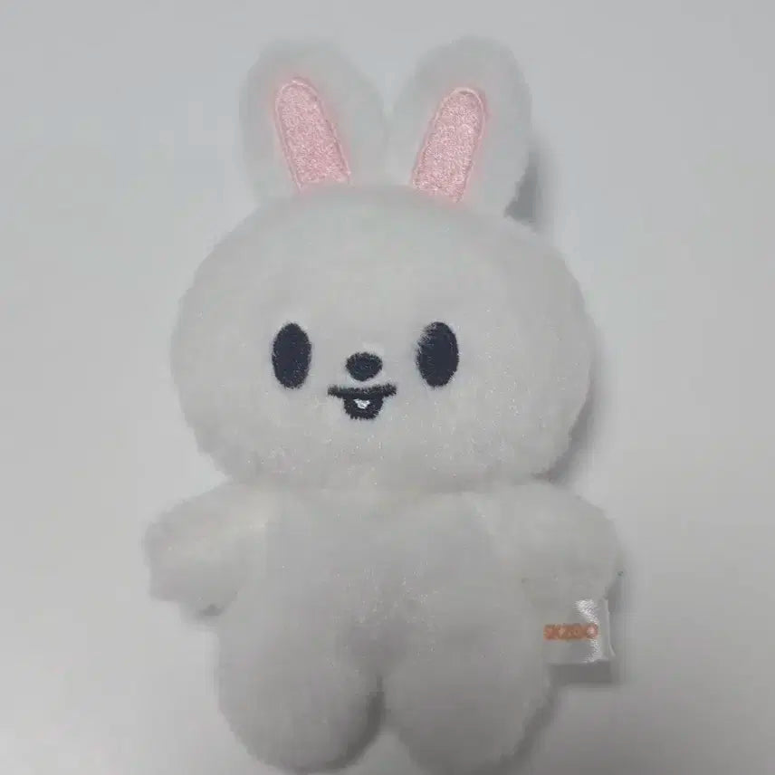 스키주 리빗 인형