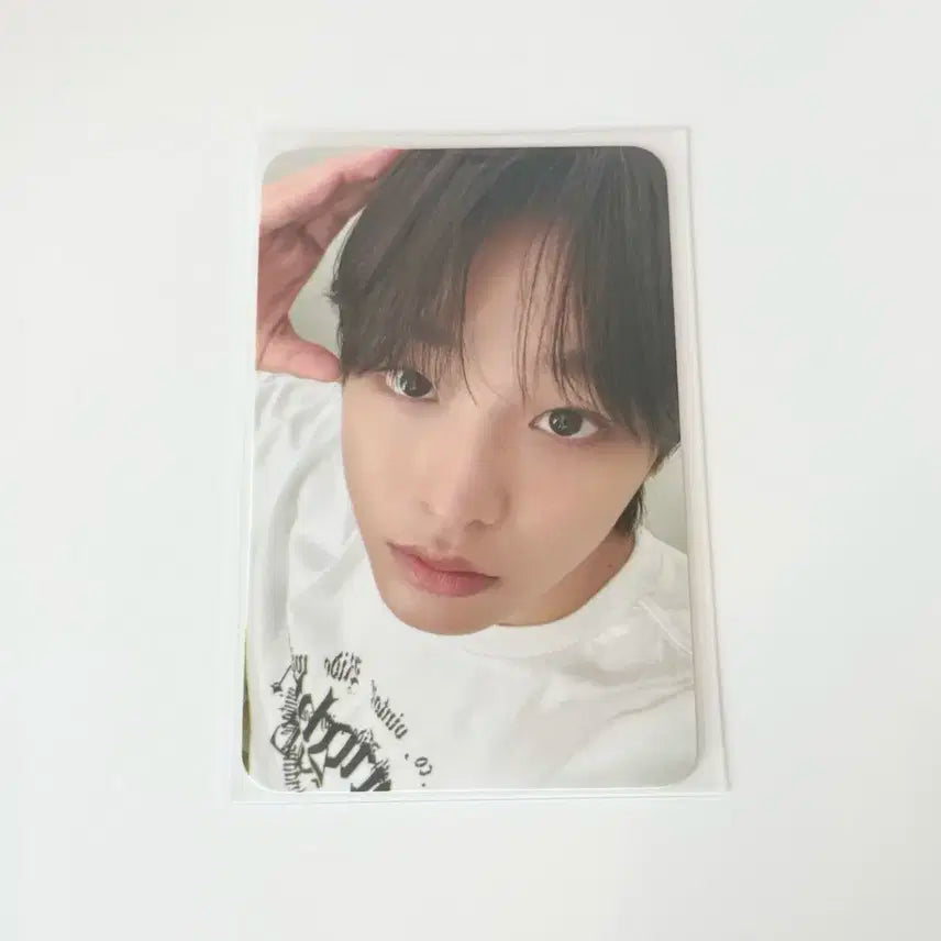 엔시티 위시 리쿠 에버랜드 입장포카 양도 합니다 !