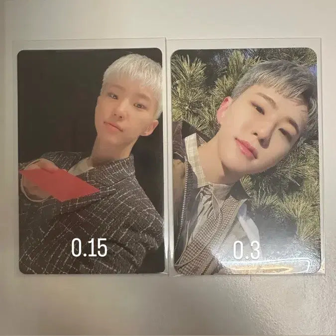 세븐틴 호시 권순영 포카 페더썬 캐럿반