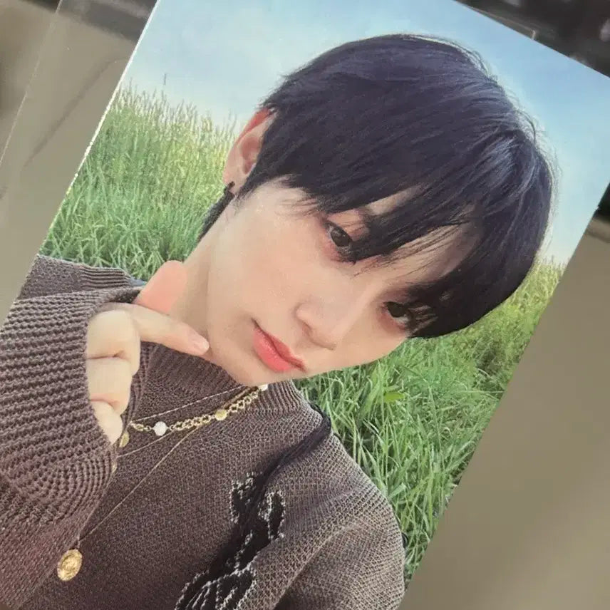 보넥도 와이 앨포 태산 양도