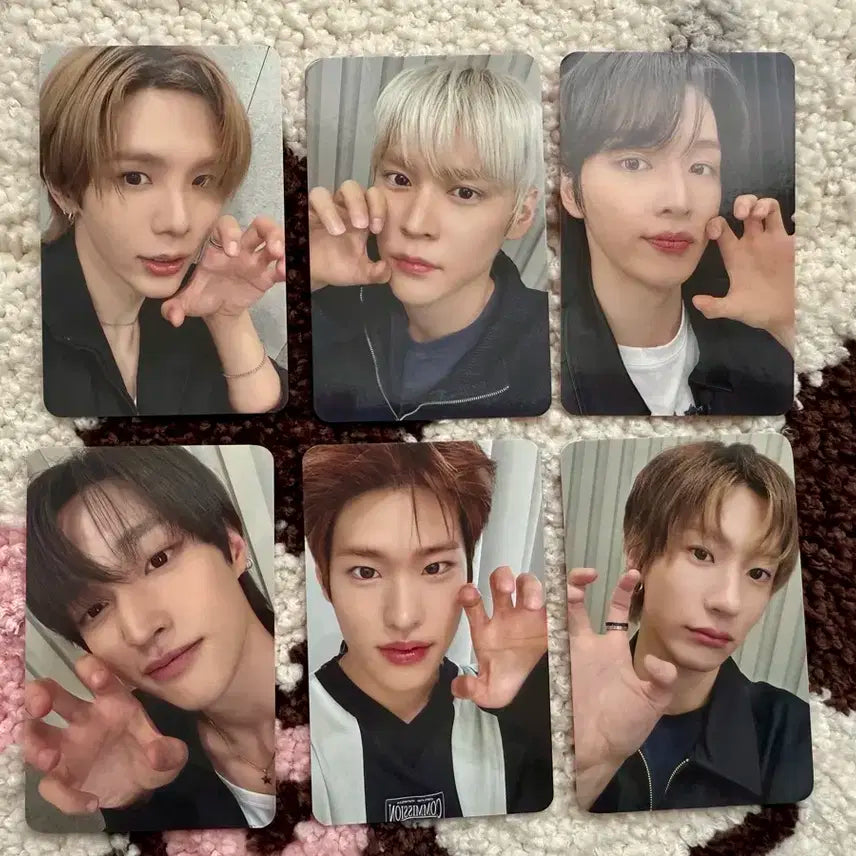 라이즈 메이크스타(세트)