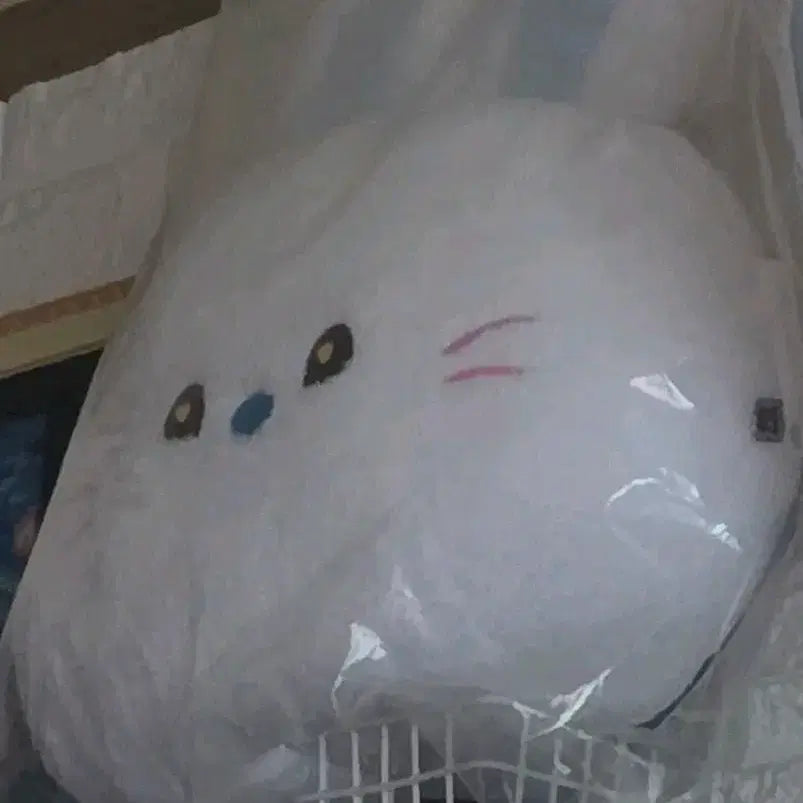 흰색 버니니 쿠션 뉴진스 NJZ