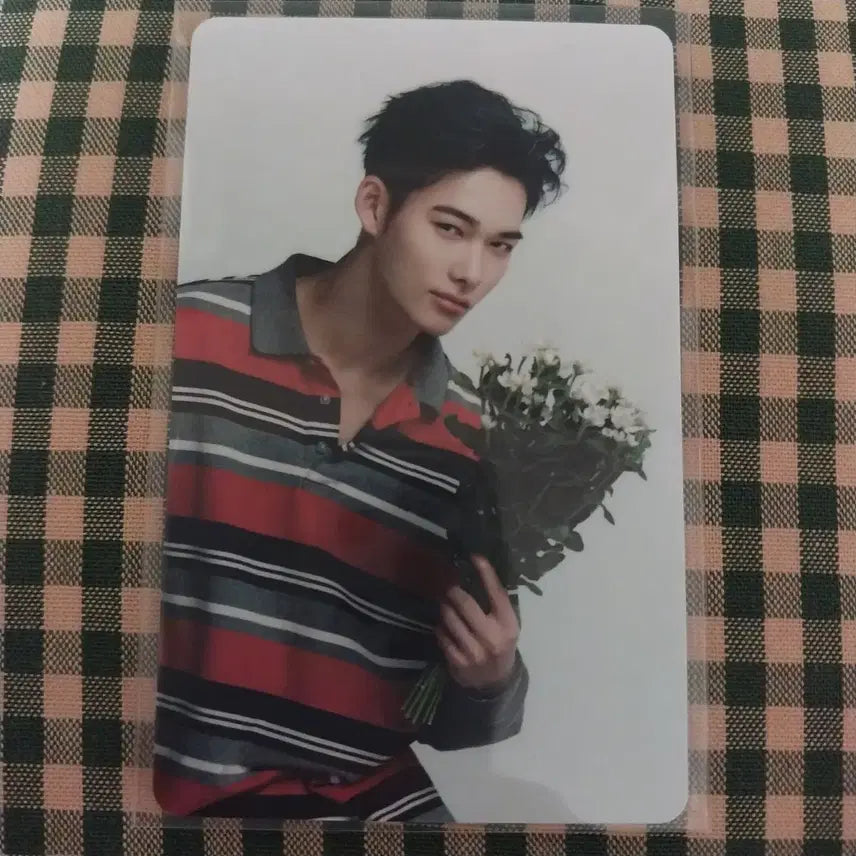 yoi 니키 유니버셜 특전 엔하이픈 enhypen 일본앨범 포카